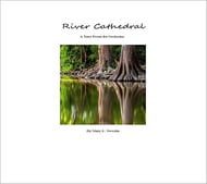 River Cathedral Orchestra sheet music cover Thumbnail